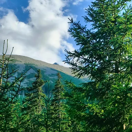 Z Widokiem Na Sniezke شقة يلينيا غورا