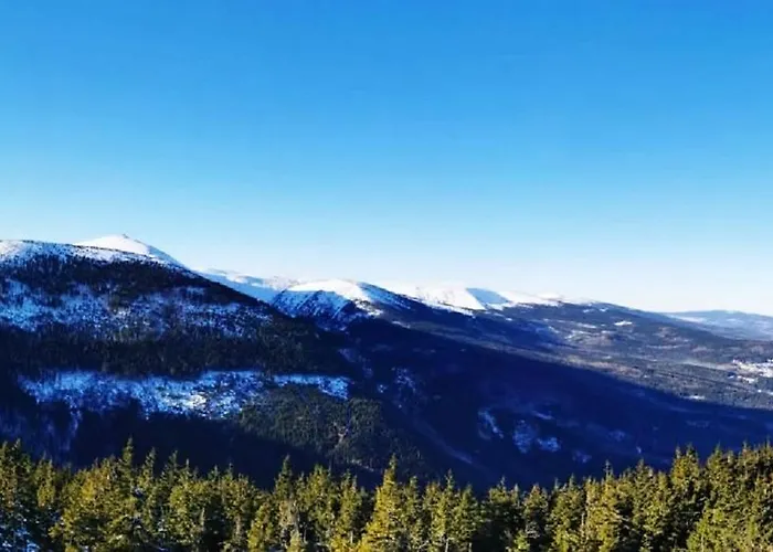 Apartament Z Widokiem Na śnieżkę *