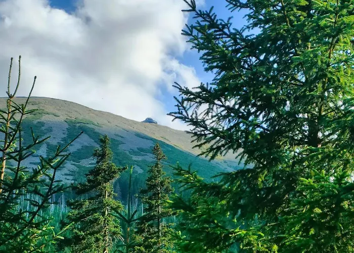 Z Widokiem Na śnieżkę Apartament Jelenia Góra