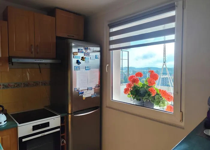 Apartament Z Widokiem Na śnieżkę *